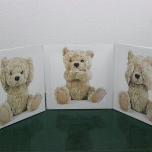 Bear Picture Frames, 8 in by 8 in,
